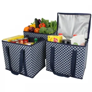 Reusable Collapsible Grocery Bags and Insulated Bag (2 Open and 1 Insulated)